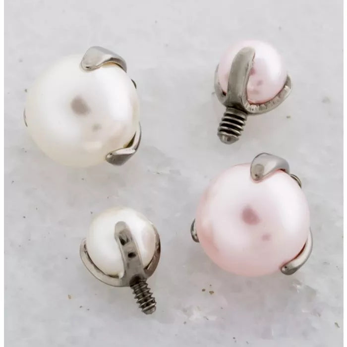 Pearl End Set in Claw Prong (Synthetic/Internally Threaded/Titanium)